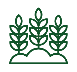 agricola- laser cinca